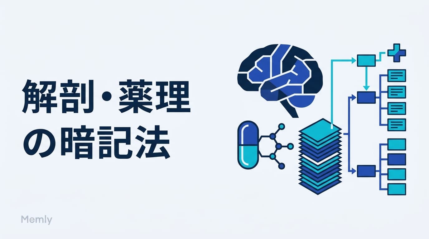 解剖学・薬理学の暗記法:数千項目を混ぜずに覚える3つの設計