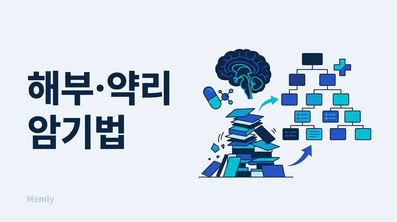 해부학·약리학 암기법: 몇천 항목을 섞이지 않게 외우는 3가지 설계 [2026]