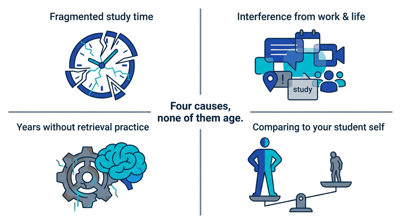 Diagram of the four real reasons adults feel their memory has declined: fragmented time, interference, no retrieval practice, unfair comparison