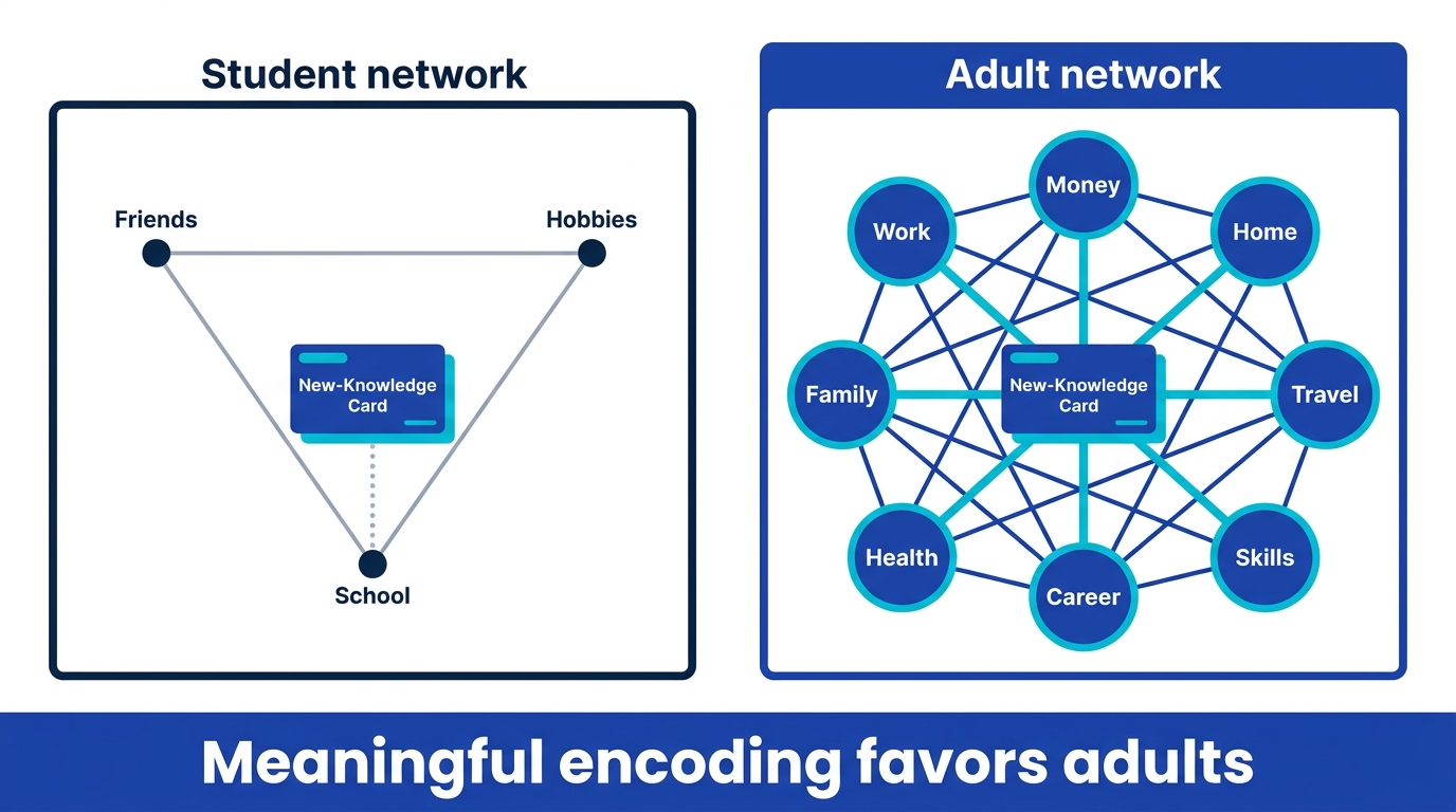 Comparison of a student's sparse knowledge network and an adult's dense network with many hooks for attaching new knowledge