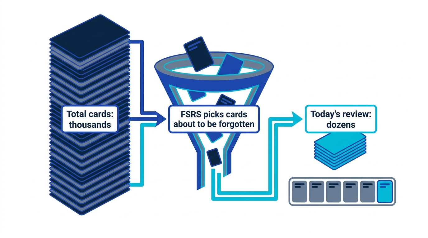 Spaced repetition distributing thousands of cards over time so each day only shows the cards about to be forgotten