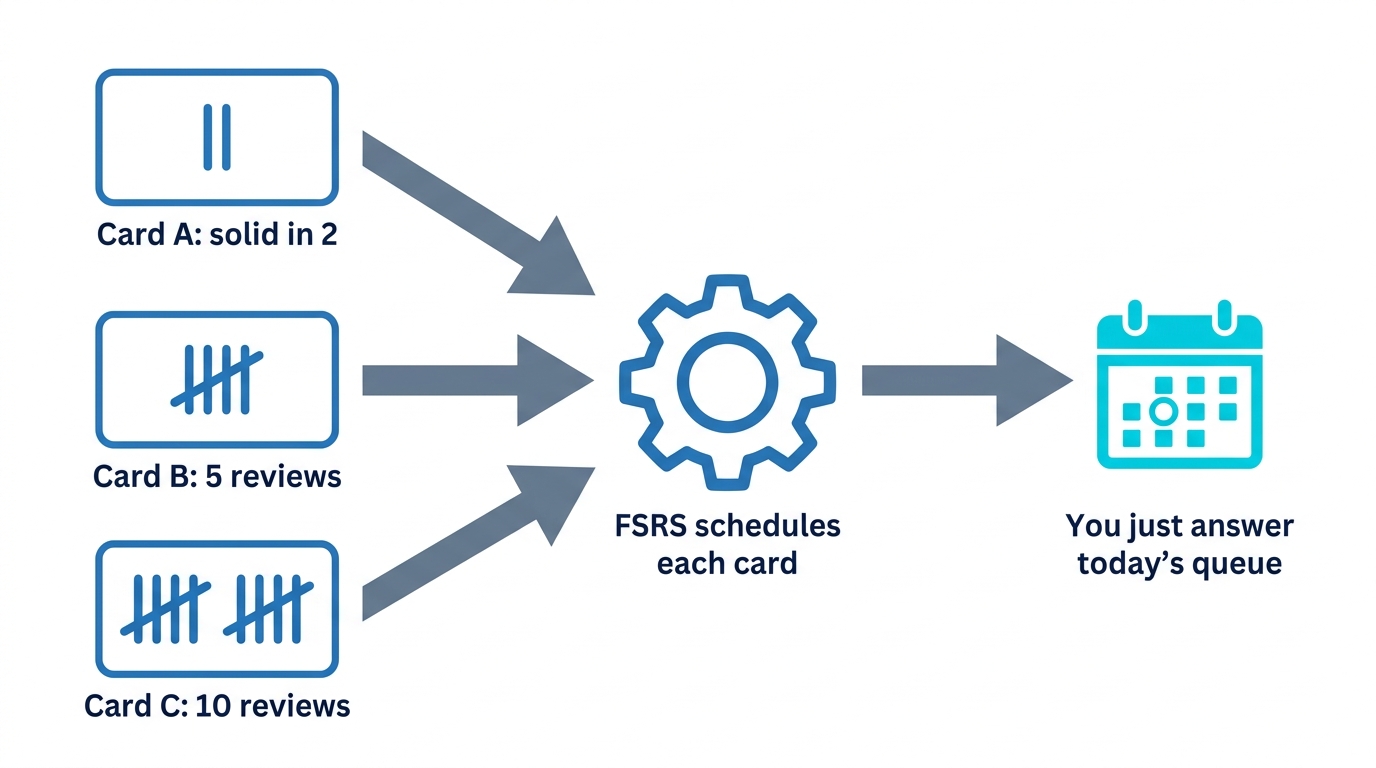 Cards need different numbers of reviews, and FSRS schedules each card individually from its recall history
