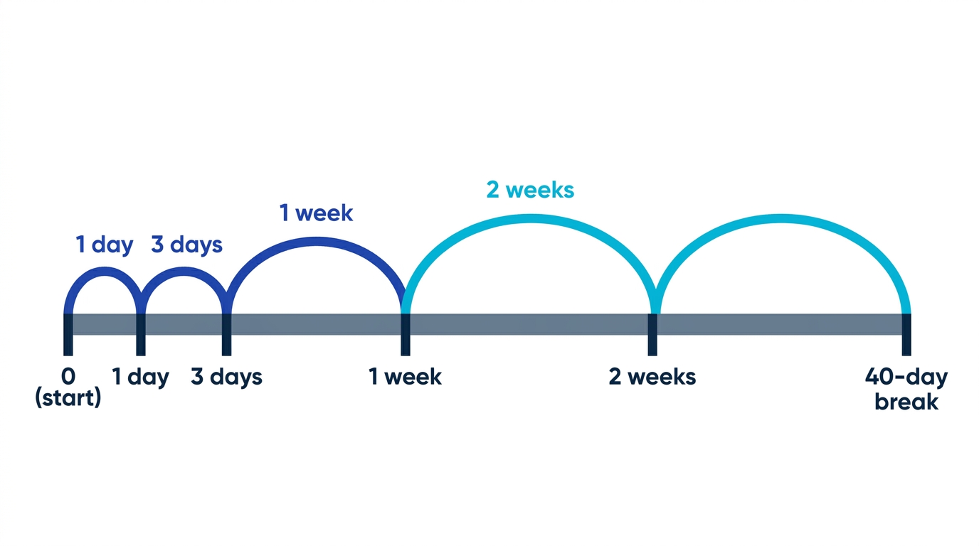 Spaced repetition intervals widening from one day to three days to one week to two weeks, fitting comfortably inside a 40-day break