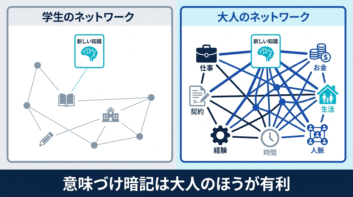 学生の知識ネットワークと大人の知識ネットワークの比較図。大人は新しい知識を結びつけるフックが多い