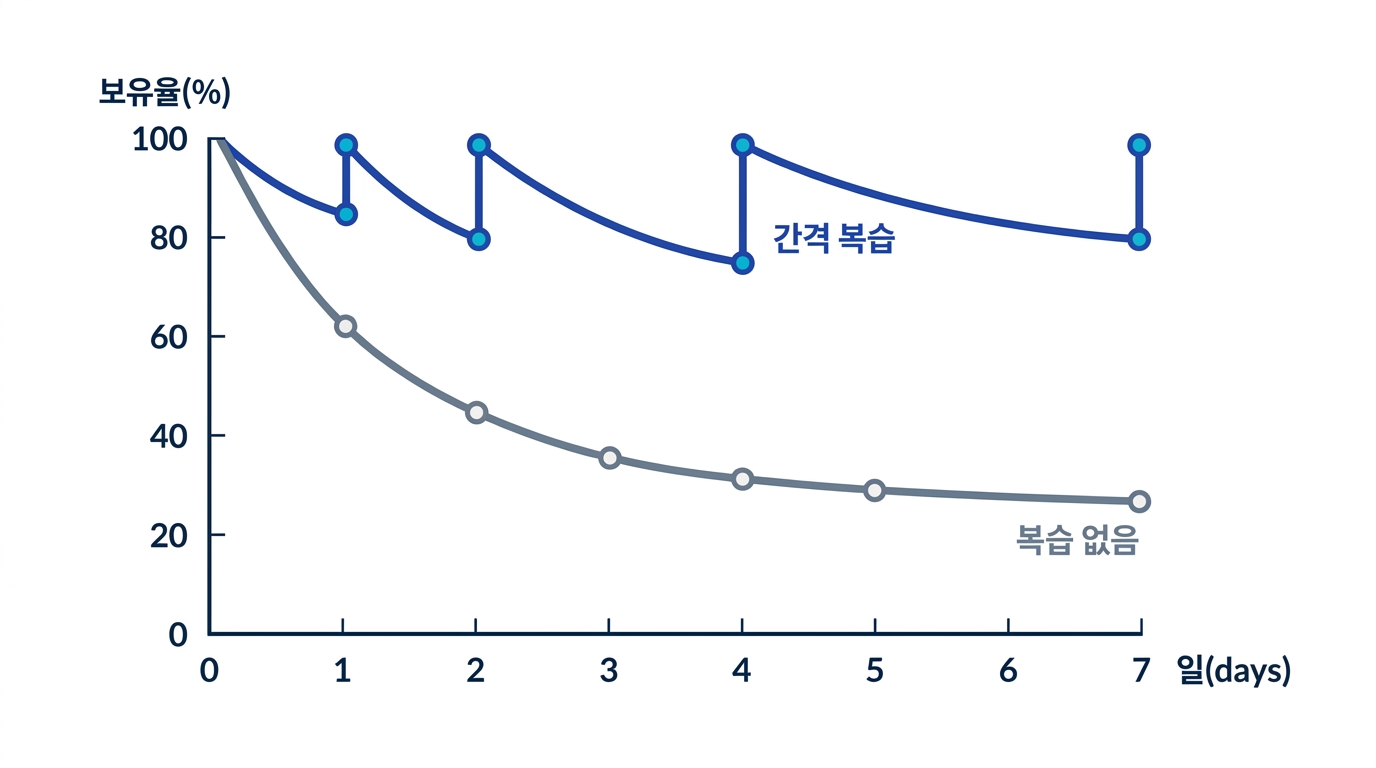 에빙하우스의 고전적 망각곡선과 간격 복습 곡선의 대비: 복습이 없으면 보유율이 가파르게 떨어지지만, 적절한 간격으로 복습하면 곡선이 단계적으로 회복되는 모습을 보여주는 도식