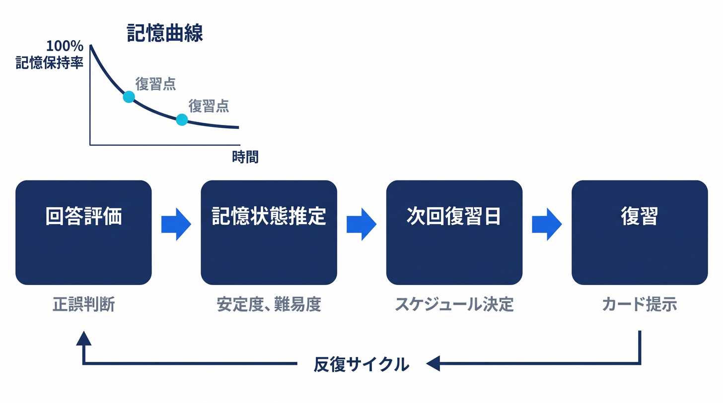 MemlyのFSRSスケジューリングフロー - ユーザーの回答が記憶モデルを更新し次の復習日を90%保持確率で算出する仕組み