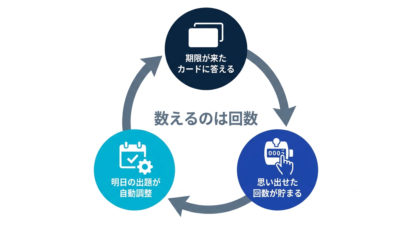 期限が来たカードに答えると思い出せた回数が貯まり、明日の出題が自動調整される循環図