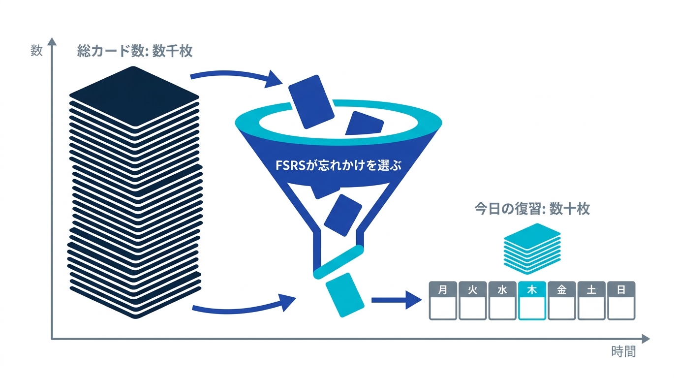 間隔反復アルゴリズムが数千枚のカードの復習を分散させる図。毎日の復習は忘れかけたカードだけに絞られる