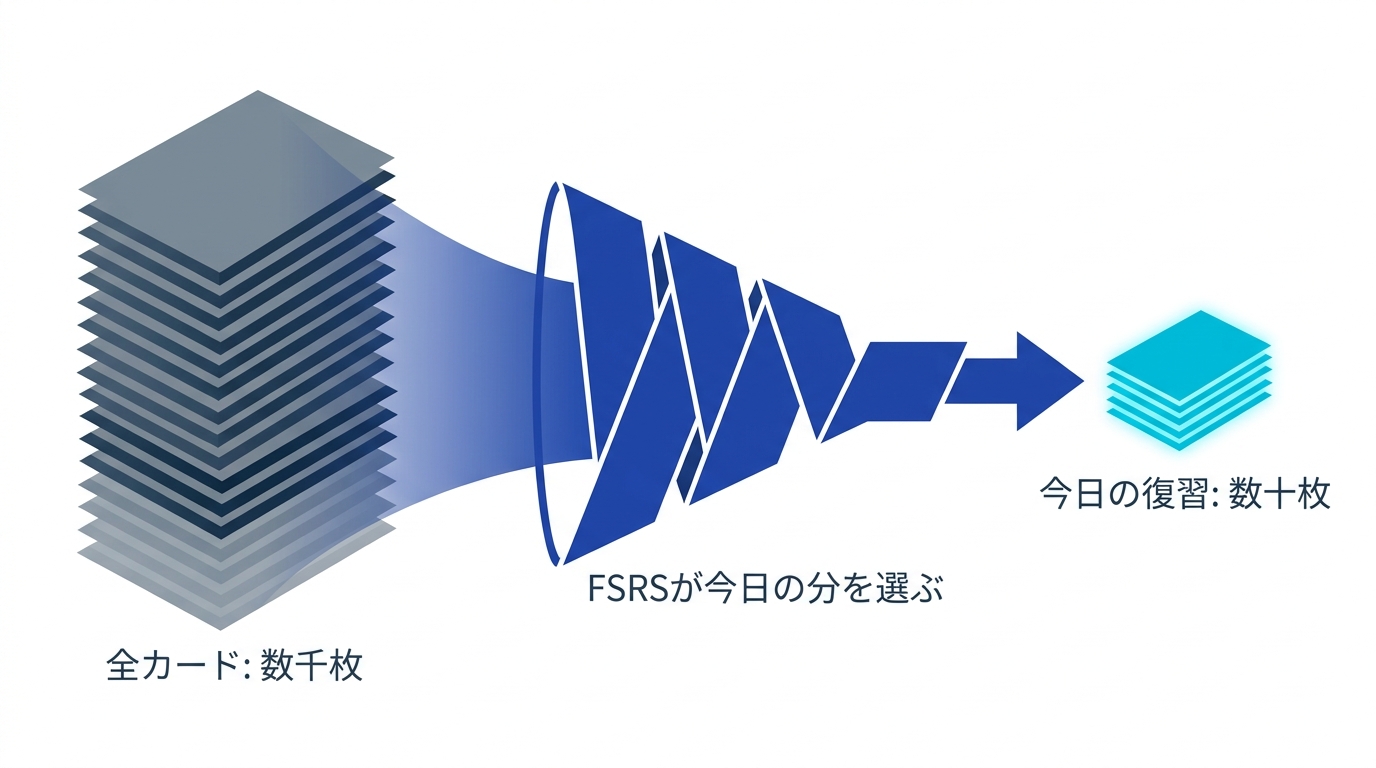 数千枚のカードの中から今日の復習分だけが選ばれて出題される仕組みを示す図
