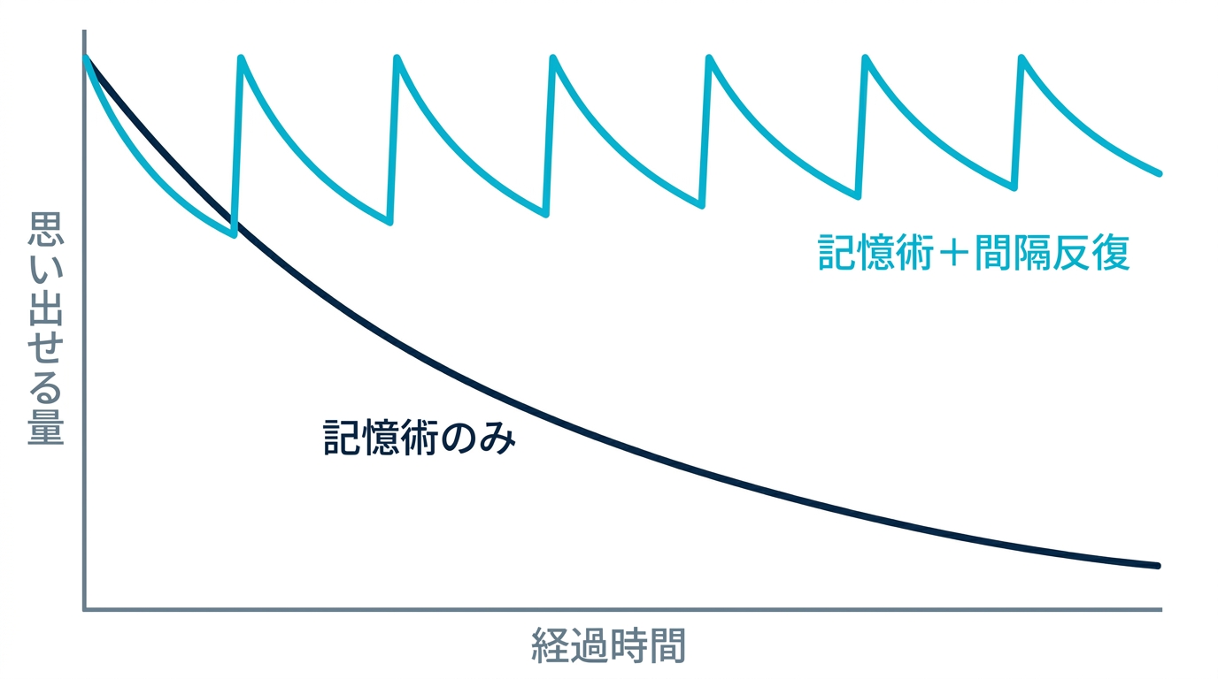 記憶術のみで覚えた場合は時間とともに忘れるが、記憶術に間隔反復を組み合わせると思い出せる量が維持されることを示す図