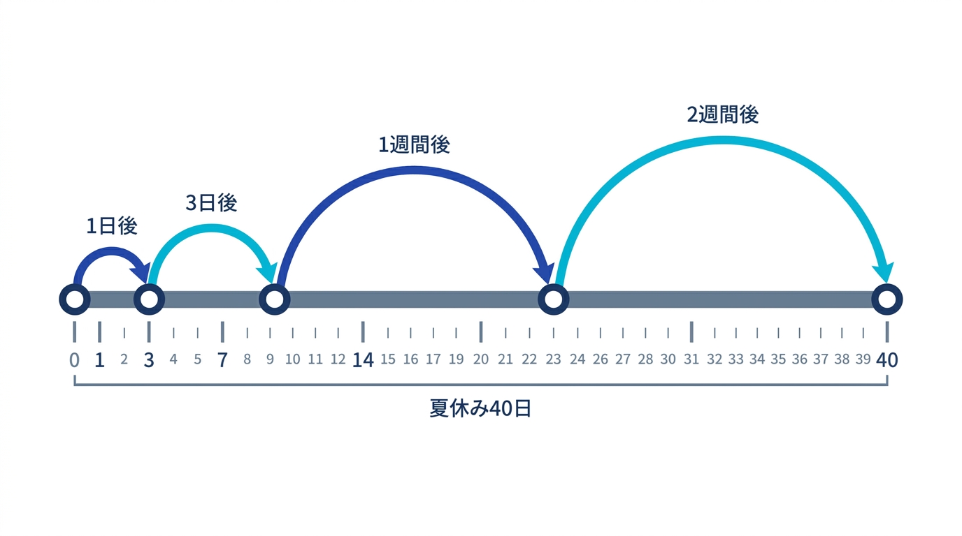 間隔反復の復習間隔が1日後、3日後、1週間後、2週間後と広がっていく様子。40日の夏休みなら間隔を広げる時間が十分にある