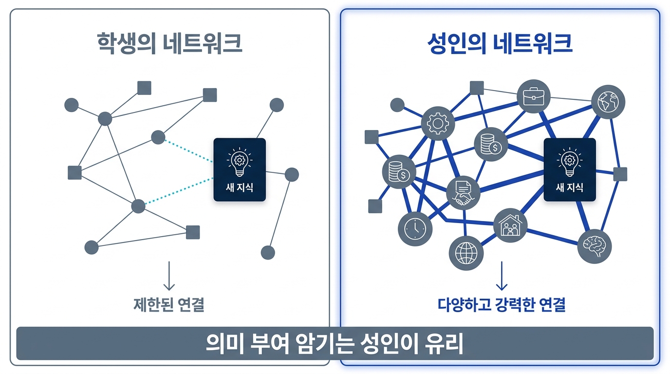 학생의 지식 네트워크와 성인의 지식 네트워크 비교 도식. 성인은 새 지식을 연결할 고리가 많다