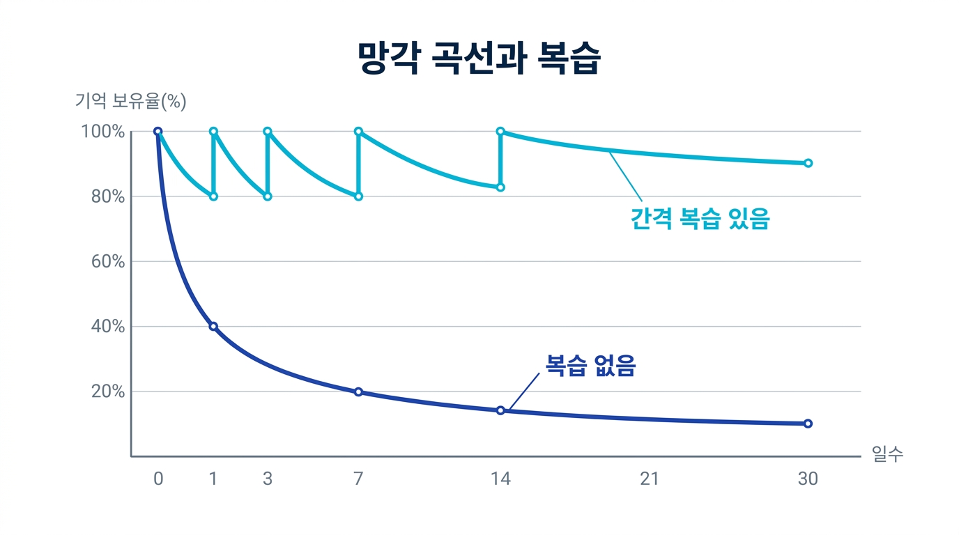 망각 곡선과 복습 그림 - 복습 없음은 급격히 하강, 간격을 둔 복습은 기억 보유율이 높게 유지됨