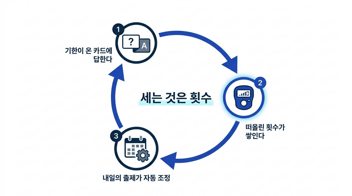 기한이 온 카드에 답하면 떠올린 횟수가 쌓이고 내일의 출제가 자동 조정되는 순환 도식