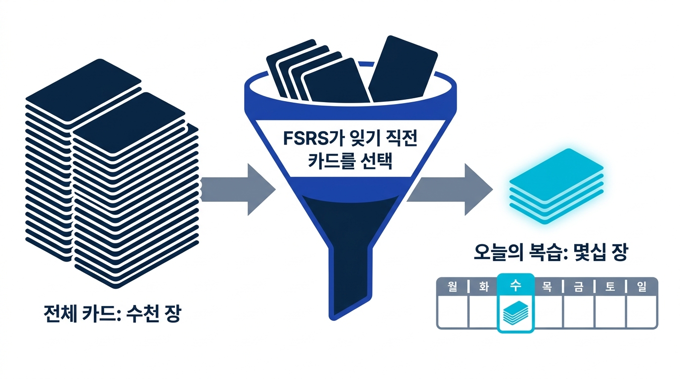 간격 반복 알고리즘이 몇천 장의 카드 복습을 분산시키는 도식. 매일의 복습은 잊기 직전인 카드로만 좁혀진다