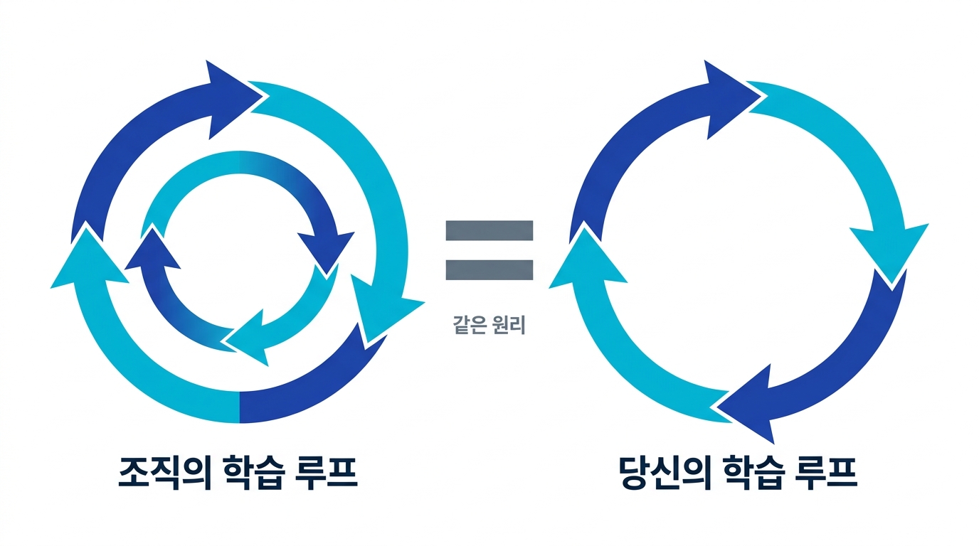 조직의 학습 루프와 당신의 학습 루프는 같은 원리임을 보여주는 도식