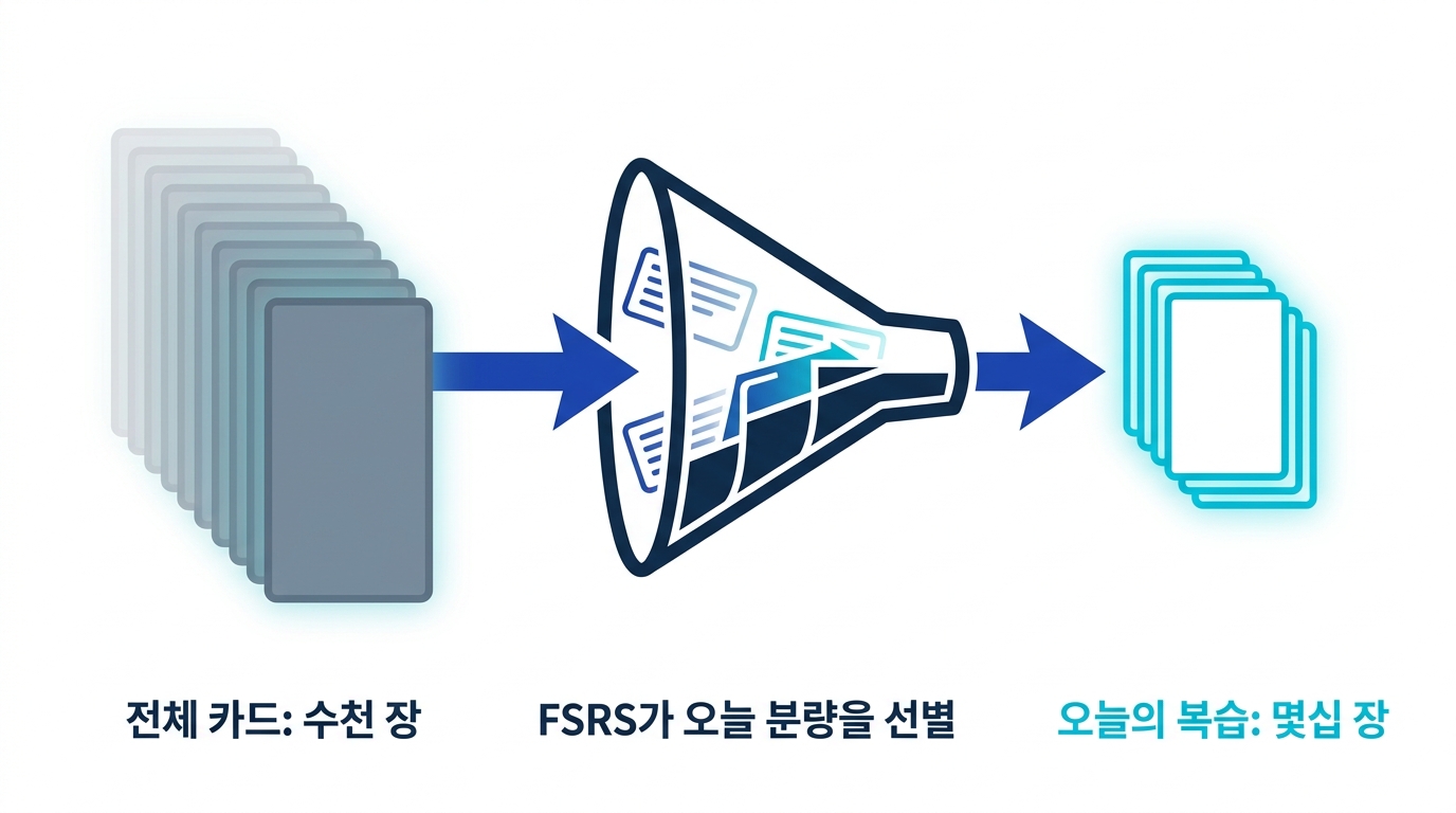 수천 장의 카드 중 오늘의 복습 분량만 선별되어 출제되는 구조를 보여 주는 도식