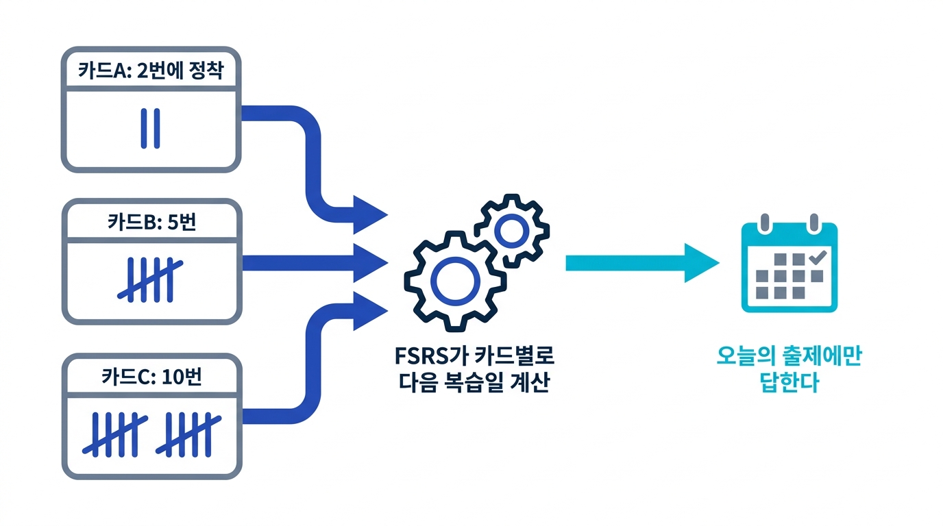 카드마다 필요한 복습 횟수가 다르고 FSRS가 떠올림 이력에서 카드 단위로 다음 복습일을 자동 계산함을 보여 주는 도식