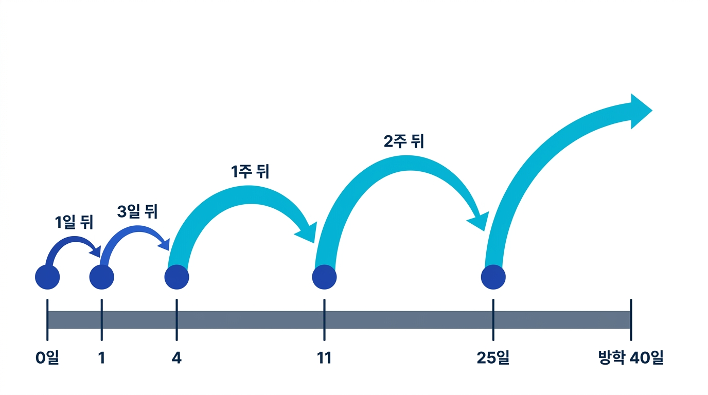 간격 반복의 복습 간격이 1일, 3일, 1주, 2주로 넓어지는 모습. 40일 방학이면 간격을 넓힐 시간이 충분하다