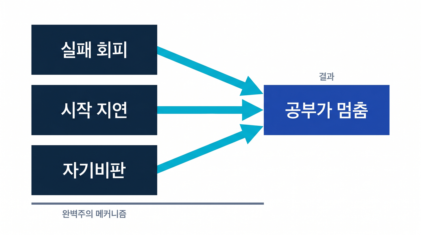 완벽주의가 공부를 멈추는 3가지 신경 메커니즘 - 착수 지연·사고 과잉·임계 초과 시의 붕괴