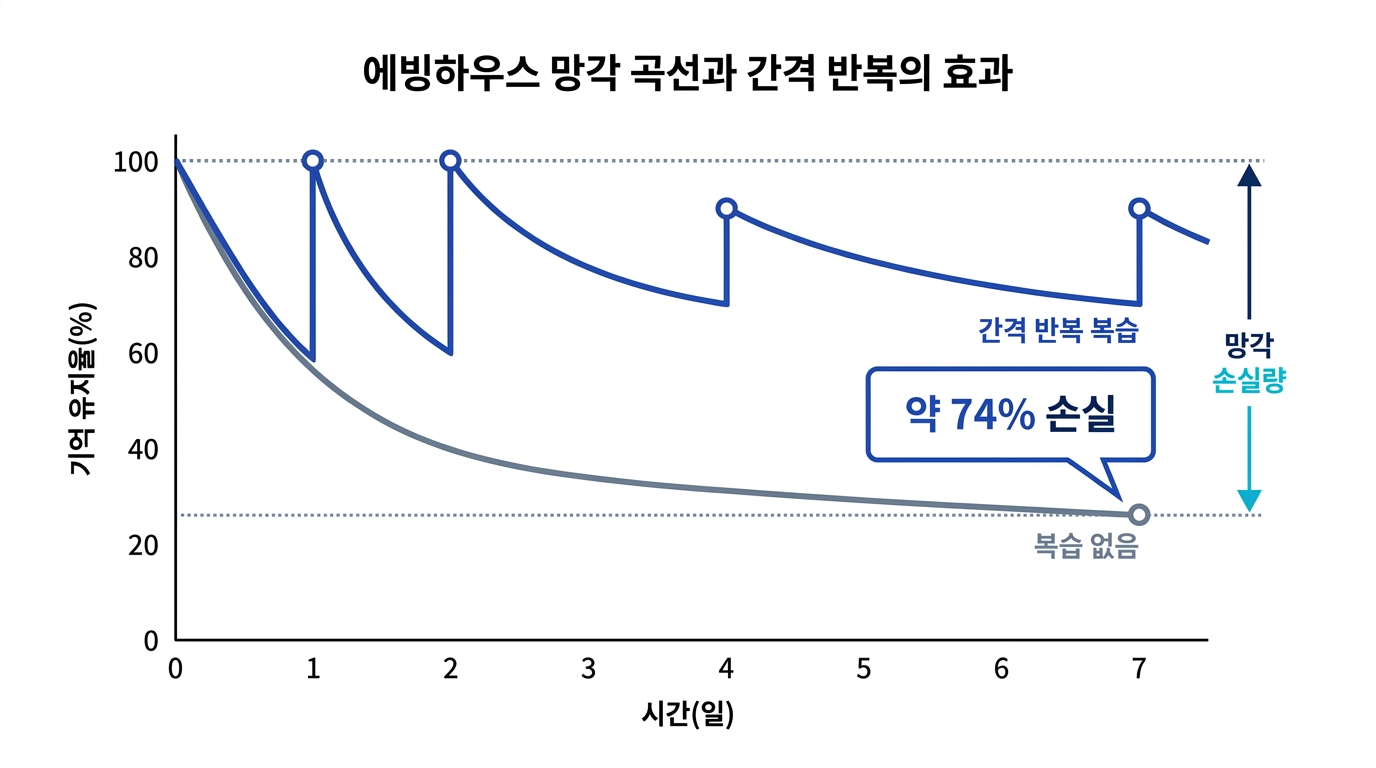 에빙하우스 망각 곡선 - 복습 없이 1주일에 약 74% 망각 vs 간격 반복 복습 시 곡선이 완만해져 정착률이 유지되는 비교 그래프